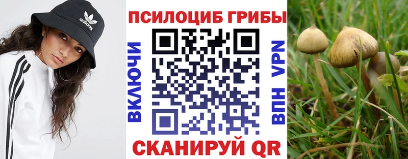 Купить  Пикалёво  Псилоцибиновые грибы ЛСД 